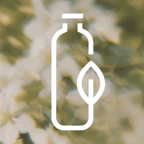 Made from plants, designed for reuse